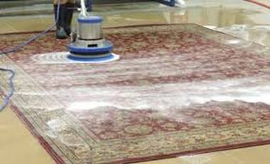 Persian rug being cleaned professionally with commercial carpet cleaning equipment.